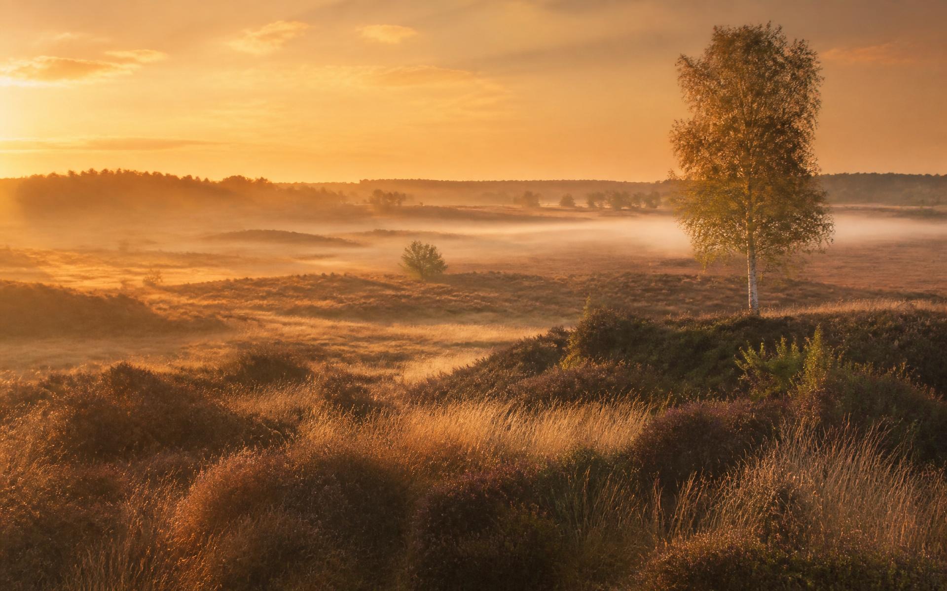 Zonsopkomst boven het Drentse heidelandschap bij de Drentsche Aa